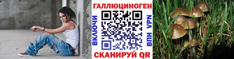 Псилоцибиновые грибы ЛСД  дарнет шоп  Петровск-Забайкальский 